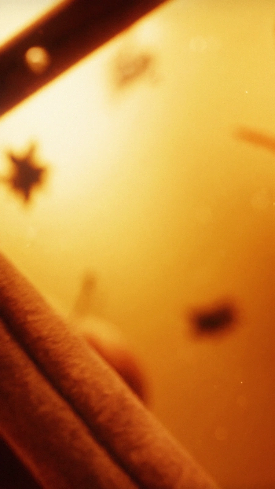 Macro cinnamon sticks and star anise floating in warm amber light.