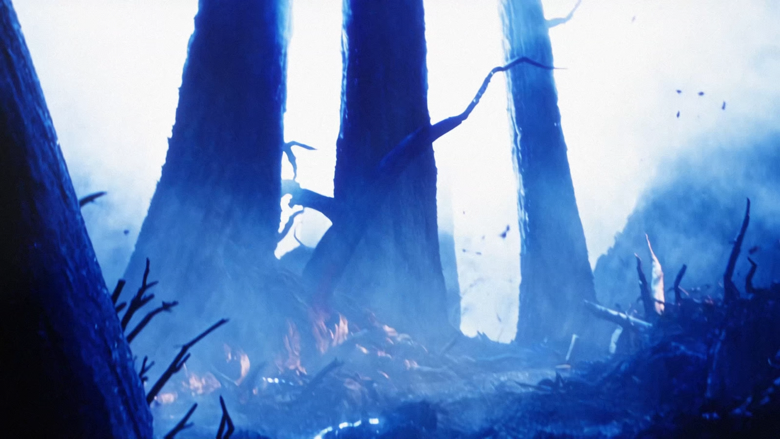 Misty blue sci-fi forest with towering trunks and an illuminated path.