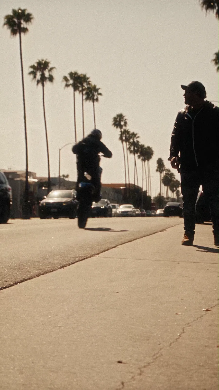 Motocross rider approaches the camera in a wheelie on a palm-lined city street.